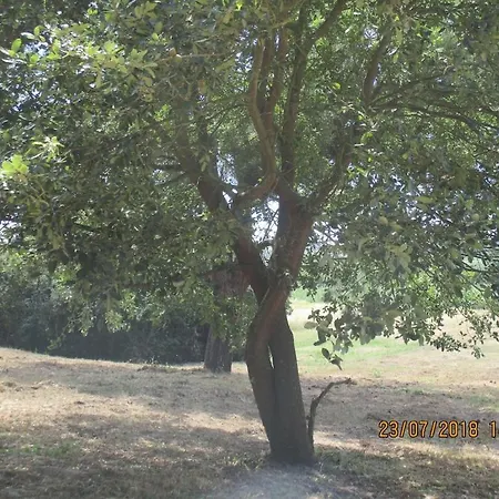 Quinta Do Caracol Semesterbostad Alfeizerão