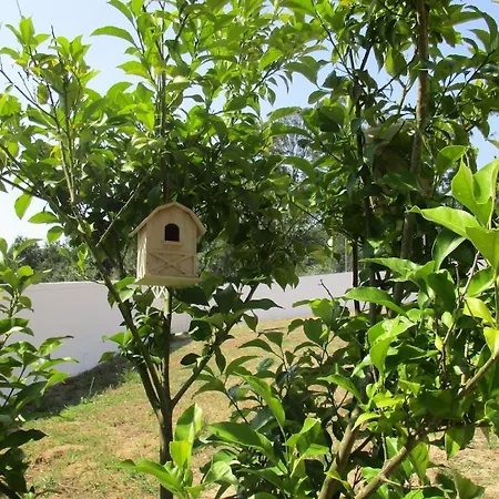 Quinta Do Caracol Semesterbostad